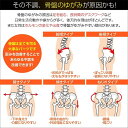 腰 サポーター 腰痛ベルト 腰痛コルセット 腰用 サポートベルト 腰楽 コルセット 腰ベルト 腰椎コルセット 腰椎サポーター 腰椎ベルト 骨盤ベルト 腰楽ベルト 補正 補正ベルト ダイエット トレーニング ギフト 女性用 男性用 3