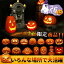 HALLOWEENý26å ϥ ܤ LED饤 ܤ ߥ͡ 󥵡դ饤  󥿥    ɺҥå 襤 ֥   Ҷ ͵ ع ٥ ʪ    ץ ѡƥ