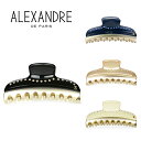 アレクサンドル ドゥ パリ ALEXANDRE DE PARIS ヴァンドーム クリップ Lサイズ （4色） ICCL 12832 03 PINCES VENDOME CLIP L フランス製 プレゼント ヘアクリップ ヘアアクセサリー 髪留め スワロフスキー ラージ ハンドメイド レディース ギフト対応 