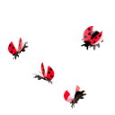 フレンステッド モビール FLENSTED mobiles Lady Bird （レッド×ブラック） レディバード 30113 テントウムシ てんとう虫 インテリア デコレーション 北欧 プレゼント おしゃれ 雑貨 デンマーク ギフト対応 