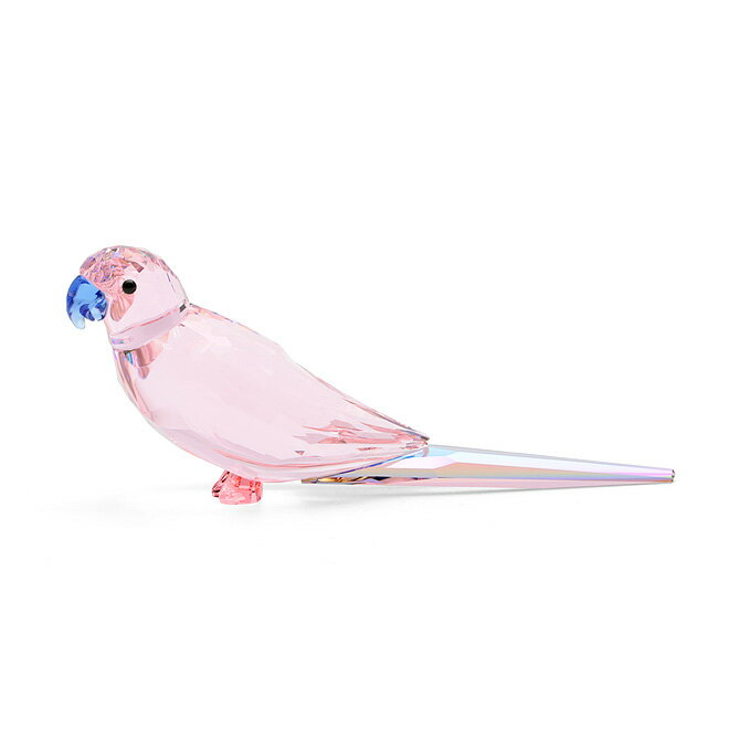 スワロフスキー SWAROVSKI ジャングルビーツ ピンクのインコ チャチャ （ピンク） 5557848 Jungle Beats Blue Parakeet Cha Cha バード 鳥 フィギュリン クリスタル ガラス インテリア プレゼント フィギュア 置物 ギフト対応 【送料無料】