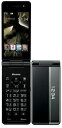 ViEgpi PANASONIC docomo P-01H _[N^