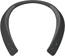 パナソニック ワイヤレスネックスピーカー Bluetooth マイク搭載 ハンズフリー 約13時間連続再生 SC-WN10-K ブラック