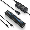 ROSONWAY USB ハブ 3.1 Gen2 10Gbps 13ポートアルミ製 72W USB HUB セルフパワー USBケーブルとType Cケーブル 付き 12V/6A ACアダプタ 独立スイッチ 付き