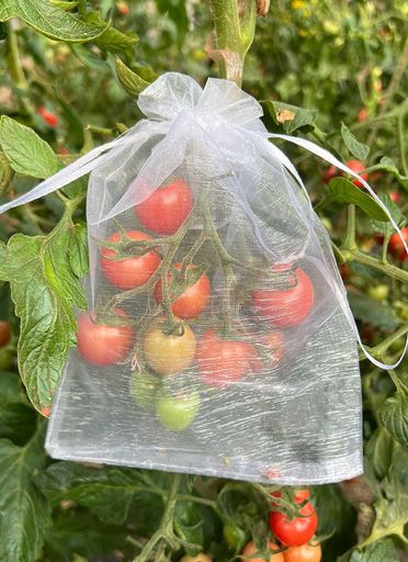 Ifukensぶどう袋果実袋防鳥ネット防虫ネット家庭菜園果物袋果物保護バッグ葡萄園芸ネット50枚入桃の袋..