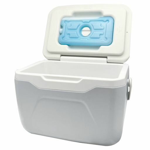 RAMASU(ラマス)保冷剤付きクーラーボックス4.8Lホワイト/グレー