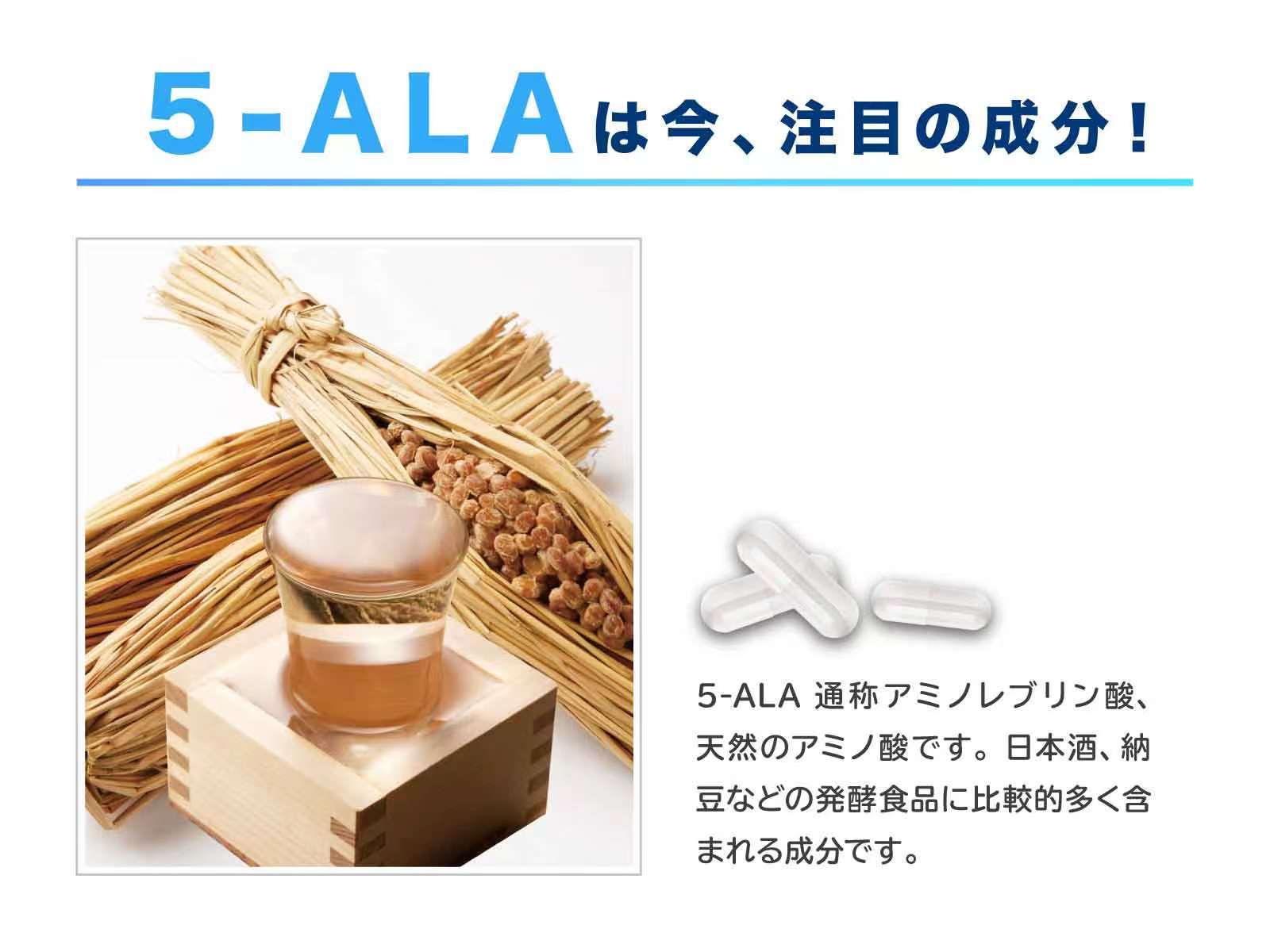 5-ALAサプリメント　アラシールド 30粒入×7パック　約7か月分　日本製　アミノ酸　クエン酸　飲むシールド　体内対策サポート　5-アミノレブリン酸　毎日の健康に！　MADE IN JAPAN 2