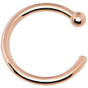 ボディキャンディー ピアス アメリカ 日本未発売 ブランド Body Candy Unisex Adult Solid 14k Rose Gold Nose Hoop 20 Gauge 1/4" Body Piercing Ring, One Sizeボディキャンディー ピアス アメリカ 日本未発売 ブランド