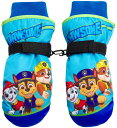 pEpg[ AJA q LbY t@bV Nickelodeon Boys' Paw Patrol Ski Gloves - Marshall, Chase, Rubble Ski Gloves or Mittens (2T-7), Size Age 2-4, Paw Patrol MittenpEpg[ AJA q LbY t@bV