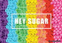 ジグソーパズル 海外製 アメリカ Buffalo Games - Robyn Blair - Hey Sugar - Large Piece Jigsaw Pu...