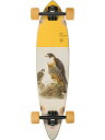 グローブ ロングスケートボード スケボー 海外モデル アメリカ直輸入 Globe Longboard Pintail 34 Falcon 8.5