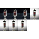 真空管 ギター・ベース アンプ 海外 輸入 Standard Tube Set for Peavey Classic 30真空管 ギター・ベース アンプ 海外 ...