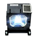 プロジェクターランプ ホームシアター テレビ 海外 輸入 JISIZKY LMP-H200 Replacement Lamp Bulb with Housing...