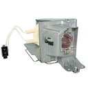 プロジェクターランプ ホームシアター テレビ 海外 輸入 Dekain Projector Lamp Replacement for Optoma DAESSG...