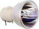 プロジェクターランプ ホームシアター テレビ 海外 輸入 SunnyPro BL-FP190E/SP.8VH01GC01 Projector Bare Bulb...