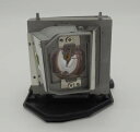 プロジェクターランプ ホームシアター テレビ 海外 輸入 CTLAMP Compatible SP LAMP 099 / SPLAMP099 Replaceme...