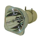vWFN^[v z[VA^[ er CO A CTLAMP Professional SP LAMP 096 / SPLAMP096 Replacement Projector Lamp Bulb with Housing Compatible with SP-LAMP-096 INFOCUS IN5148HDvWFN^[v z[VA^[ er CO A