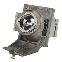 プロジェクターランプ ホームシアター テレビ 海外 輸入 Dekain Projector Lamp Replacement for 5J.JKX05.001 ...