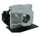 プロジェクターランプ ホームシアター テレビ 海外 輸入 PHO 310-6896 / 310-6869 / 725-10046 Genuine Origina...
