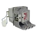プロジェクターランプ ホームシアター テレビ 海外 輸入 Dekain Projector Lamp Replacement for 5J.JKC05.001 ...