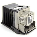プロジェクターランプ ホームシアター テレビ 海外 輸入 Stanlamp 01-00247/TLPLSB20 Replacement Lamp Special...