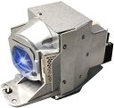 プロジェクターランプ ホームシアター テレビ 海外 輸入 CTLAMP Original 5J.J7L05.001 OEM Replacement Projec...