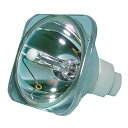 プロジェクターランプ ホームシアター テレビ 海外 輸入 LYTIO Economy for InFocus SP-LAMP-037 Projector Lam...