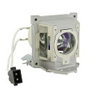 プロジェクターランプ ホームシアター テレビ 海外 輸入 PHO 5J.J4L05.021 Genuine Original Replacement Bulb/...