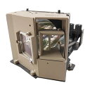 プロジェクターランプ ホームシアター テレビ 海外 輸入 CTLAMP 78-6969-9918-0 Replacement Projector Lamp Bu...