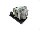 プロジェクターランプ ホームシアター テレビ 海外 輸入 Emazne OEM BL-FU190G/SP.71K01GC01 Projector Lamp Ge...