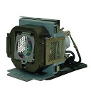 プロジェクターランプ ホームシアター テレビ 海外 輸入 CTLAMP Economic Choice 5J.J2A01.001 / 5J.J1Y01.001 ...