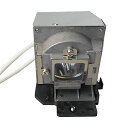 プロジェクターランプ ホームシアター テレビ 海外 輸入 CTLAMP 5J.J4V05.001 Replacement Projector Lamp Bulb...