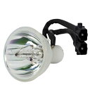 プロジェクターランプ ホームシアター テレビ 海外 輸入 LYTIO Economy for Optoma BL-FS180C Projector Lamp (...