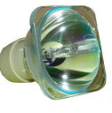プロジェクターランプ ホームシアター テレビ 海外 輸入 CTLAMP Compatible RLC-058 / RLC058 Replacement Proj...