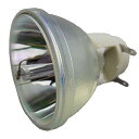 プロジェクターランプ ホームシアター テレビ 海外 輸入 CTLAMP RLC-080 Replacement Projector Bare Lamp (Onl...