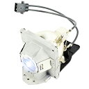 プロジェクターランプ ホームシアター テレビ 海外 輸入 JISIZKY 5J.J2D05.001 Replacement Module Lamp Bulb w...