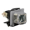 プロジェクターランプ ホームシアター テレビ 海外 輸入 CTLAMP Original BL-FP165A / SP.89Z01GC01 Projector ...