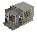 プロジェクターランプ ホームシアター テレビ 海外 輸入 GOLDENRIVER BL-FP240A Original Projector Lamp with ...