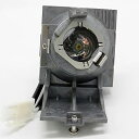 プロジェクターランプ ホームシアター テレビ 海外 輸入 GOLDENRIVER RLC-116 Replacement Lamp with Housing C...