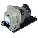 プロジェクターランプ ホームシアター テレビ 海外 輸入 JISIZKY NP13LP Replacement Module Lamp Bulb with Ho...