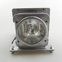 プロジェクターランプ ホームシアター テレビ 海外 輸入 CTLAMP RLC-019 Replacement Projector Lamp Bulb with...