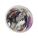 プロジェクターランプ ホームシアター テレビ 海外 輸入 CTLAMP Original 5J.J7L05.001 Projector Bare Lamp (O...
