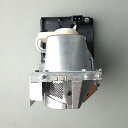 プロジェクターランプ ホームシアター テレビ 海外 輸入 CTLAMP Original 20-01501-20 OEM Replacement Project...