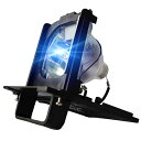 プロジェクターランプ ホームシアター テレビ 海外 輸入 Tawelun 915B455011 TV Replacement Lamp in Housing f...