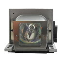 プロジェクターランプ ホームシアター テレビ 海外 輸入 CTLAMP VLT-XD420LP / 499B045O30 Replacement Project...