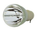 プロジェクターランプ ホームシアター テレビ 海外 輸入 Replacement for VIEWSONIC VS16909 Bare LAMP ONLY Pr...