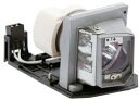 プロジェクターランプ ホームシアター テレビ 海外 輸入 Replacement for OPTOMA LMG5162 LAMP & HOUSING Proje...