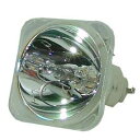 プロジェクターランプ ホームシアター テレビ 海外 輸入 Replacement for SIM2 C3X Lumis Bare LAMP ONLY Proje...