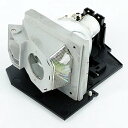 プロジェクターランプ ホームシアター テレビ 海外 輸入 AWO Original Projector Lamp Bulb 310-6896/725-10046...