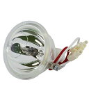 プロジェクターランプ ホームシアター テレビ 海外 輸入 LYTIO Economy for Proxima LAMP-009 Projector Lamp (...